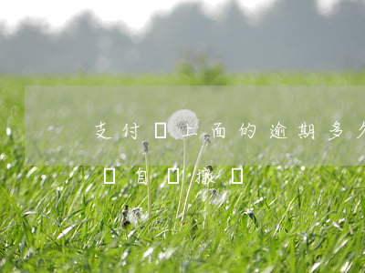 支付寶上面的逾期多久取消(支付寶逾期多久會自動撤銷)