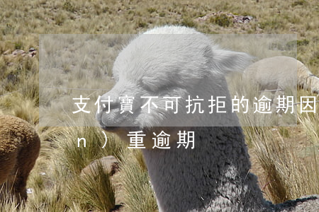 支付寶不可抗拒的逾期因素(支付寶嚴(yán)重逾期)
