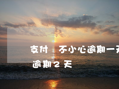 支付寶不小心逾期一天就還了(支付寶不小心逾期2天)