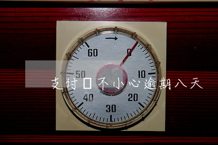 支付寶不小心逾期八天