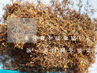支付寶不接受協(xié)商還款就直接起訴-支付寶不接受協(xié)商還款就直接起訴嗎