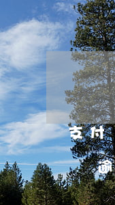 支付寶不是故意逾期能否消除逾期記錄（支付寶逾期可以開證明嗎）