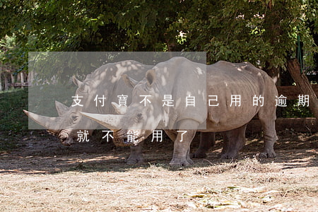 支付寶不是自己用的逾期(支付寶逾期是不是就不能用了)
