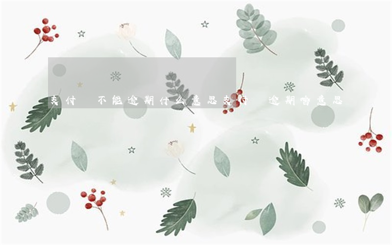 支付寶不能逾期什么意思(支付寶逾期啥意思)