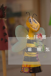 支付寶不認證花唄逾期-支付寶不認證花唄逾期怎么辦