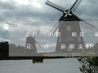 支付寶中借唄和花唄逾期被凍結(jié) 花唄借唄逾期支付寶賬號被凍結(jié)怎么辦