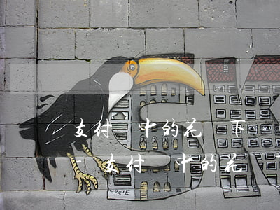 支付寶中的花唄下個(gè)月還款怎么還-支付寶中的花唄下個(gè)月還款怎么還不了