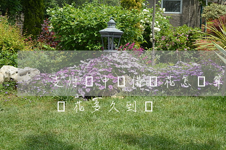 支付寶中郵借錢花怎樣算逾期(支付寶中郵借錢花多久到賬)