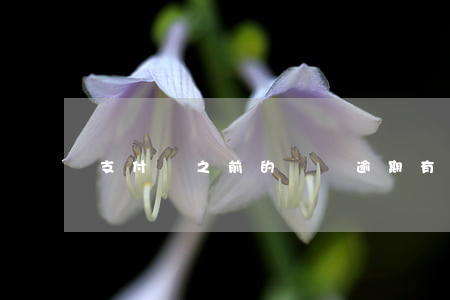 支付寶之前的賬號逾期(有支付寶逾期的嗎)