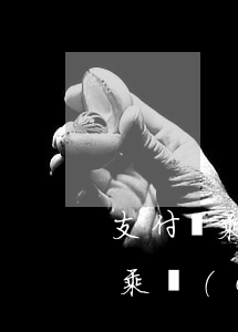 支付寶乘車(chē)碼逾期未還-支付寶乘車(chē)碼已過(guò)期