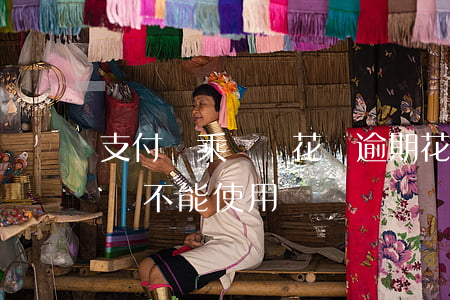 支付寶乘車碼花唄逾期(花唄逾期支付寶乘車碼不能使用)