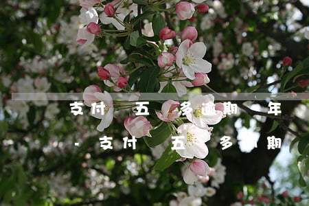 支付寶五萬多逾期兩年會(huì)坐牢么-支付寶五萬多逾期兩年會(huì)坐牢么