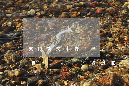 支付寶交水費(fèi)逾期了 支付寶交水費(fèi)被退回