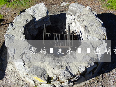 支付寶交水電費逾期(支付寶繳納水費逾期)