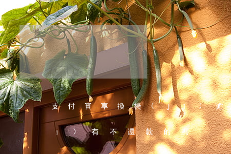 支付寶享換機(jī)逾期幾天(享換機(jī)有不還款的嗎)