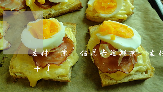 支付寶京東信用卡逾期(京東支付寶逾期三四年了)