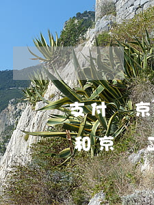 支付寶京東網(wǎng)貸逾期(欠支付寶和京東二十萬(wàn)要逾期怎樣協(xié)商還款)
