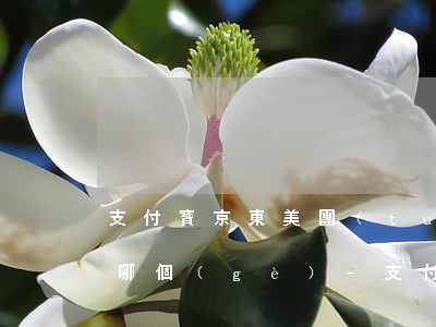 支付寶京東美團(tuán)都逾期了先換哪個(gè)-支付寶京東美團(tuán)都逾期了先換哪個(gè)銀行
