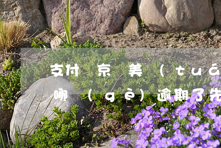 支付寶京東美團(tuán)都逾期了先換哪個(gè) 逾期了先還京東還是支付寶