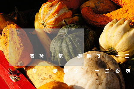 支付寶京東逾期了還一二百可以嗎-支付寶京東逾期了還一二百可以嗎怎么還