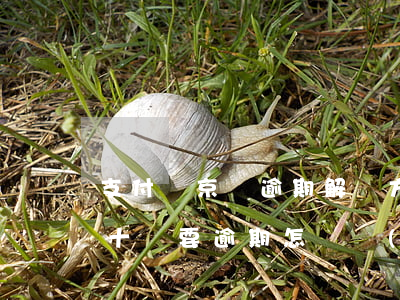 支付寶京東逾期解決方案(欠支付寶和京東二十萬要逾期怎樣協(xié)商還款)