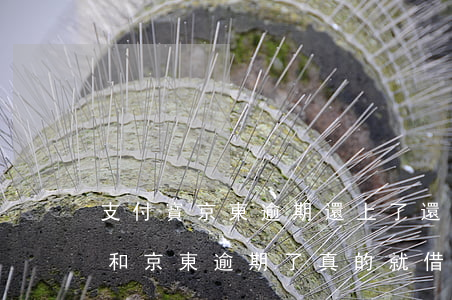 支付寶京東逾期還上了還能借錢嗎-支付寶和京東逾期了真的就借不到了嗎