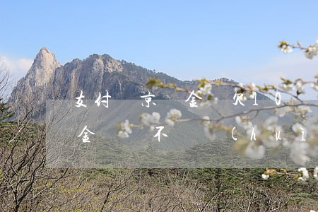 支付寶京東金條欠10萬還不上了-欠京東金條錢不還會(huì)不會(huì)影響支付寶的信譽(yù)