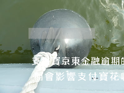 支付寶京東金融逾期的人多嗎-京東金融逾期會影響支付寶花唄使用嗎