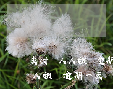 支付寶人人租機逾期多久會起訴-支付寶人人租機逾期一天會怎么樣