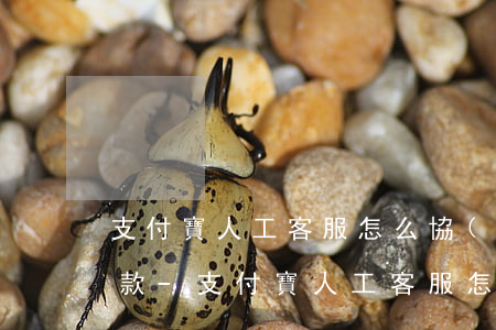 支付寶人工客服怎么協(xié)商延期還款-支付寶人工客服怎么協(xié)商延期還款的