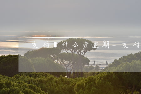 支付寶什么查逾期-支付寶逾期怎么查