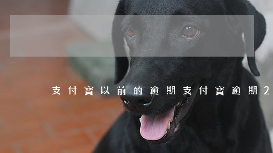 支付寶以前的逾期(支付寶逾期2年有沒有事)