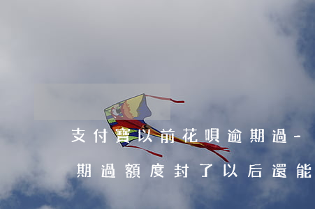 支付寶以前花唄逾期過-支付寶以前花唄逾期過,額度封了,以后還能開通嗎