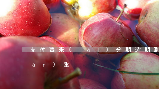 支付寶來(lái)分期逾期到底多嚴(yán)重