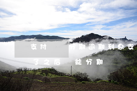 支付寶來分期逾期利息(支付寶分期付款逾期了,之后還能分期嗎)
