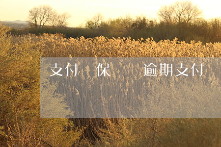 支付寶保險費逾期 支付寶逾期260天