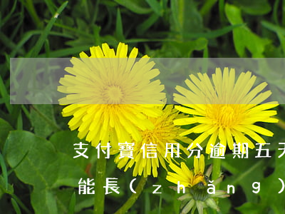 支付寶信用分逾期五天扣信用分30怎么才能長(zhǎng)上來(lái)額度（支付寶信用分逾期）