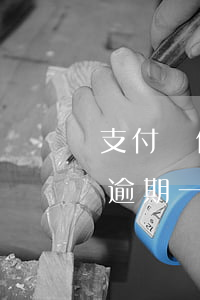支付寶信用卡逾期一年可以坐高鐵嗎?（信用卡逾期一年還能做動(dòng)車么）