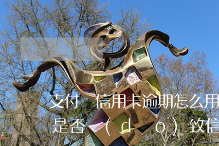 支付寶信用卡逾期怎么用(支付寶有逾期的話是否導(dǎo)致信用卡辦不了)
