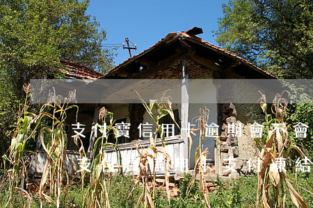 支付寶信用卡逾期會不會被凍結(jié)(支付寶信用卡支付凍結(jié)怎么回事)