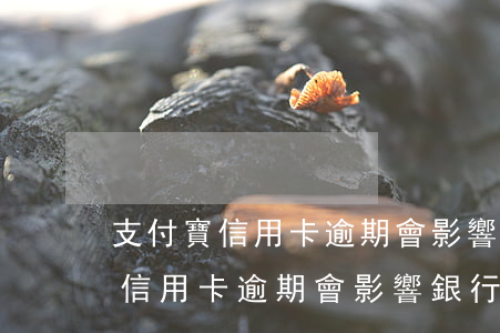支付寶信用卡逾期會影響銀行卡嗎-支付寶信用卡逾期會影響銀行卡嗎安全嗎