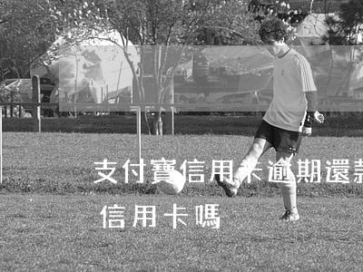 支付寶信用卡逾期還款后(支付寶逾期還能用信用卡嗎)