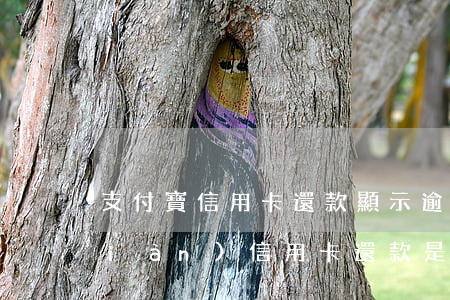 支付寶信用卡還款顯示逾期(支付寶出現(xiàn)信用卡還款是怎么回事)