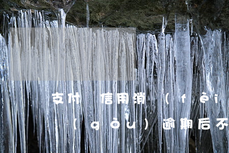支付寶信用消費(fèi)逾期（支付寶信用購(gòu)逾期后不還）