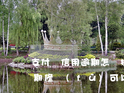 支付寶信用逾期怎樣提高信用(支付寶信用逾期修復(fù)可以馬上使用嗎)