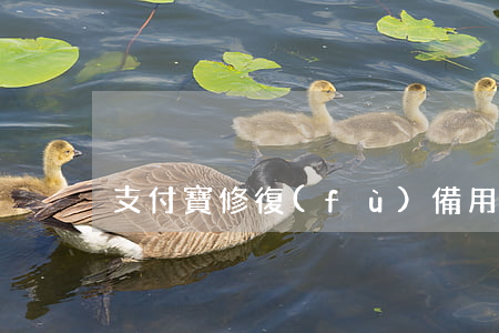 支付寶修復(fù)備用金逾期