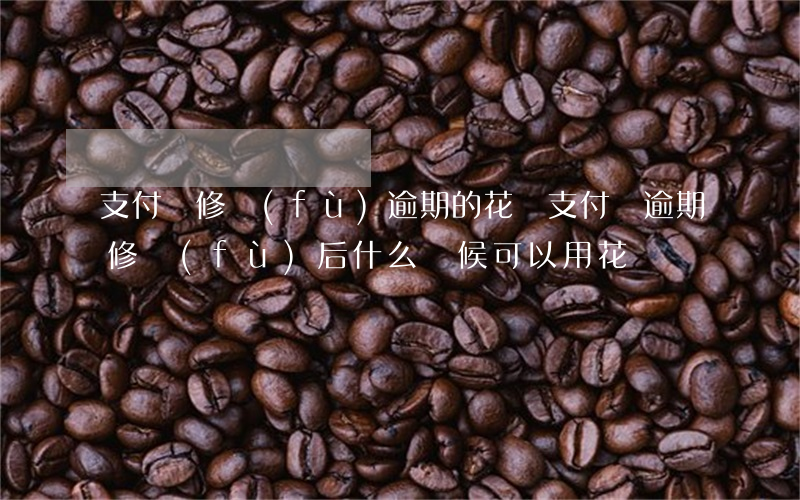 支付寶修復(fù)逾期的花唄(支付寶逾期修復(fù)后什么時候可以用花唄)