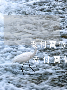 支付寶修復(fù)逾期記錄后會掉信用嗎（支付寶信用賬單逾期）