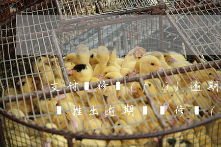 支付寶修復(fù)逾期記錄多久生效(支付寶推出逾期記錄修復(fù))