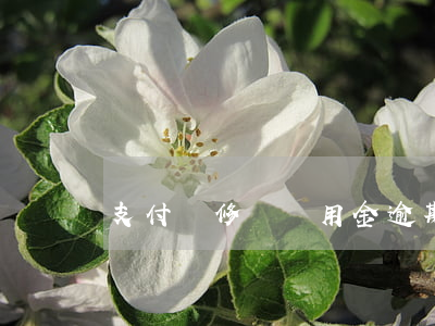 支付寶修復備用金逾期